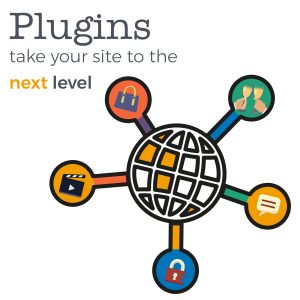 Wordpress plugins take your site to the next level